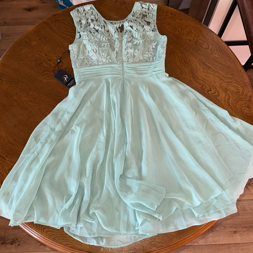 Adrianna Papell Dress, size 4, BNWT, color: celadon - Picture 2 of 3